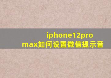 iphone12pro max如何设置微信提示音